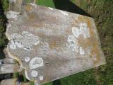 image number C8_210
